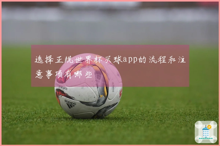 选择正规世界杯买球app的流程和注意事项有哪些