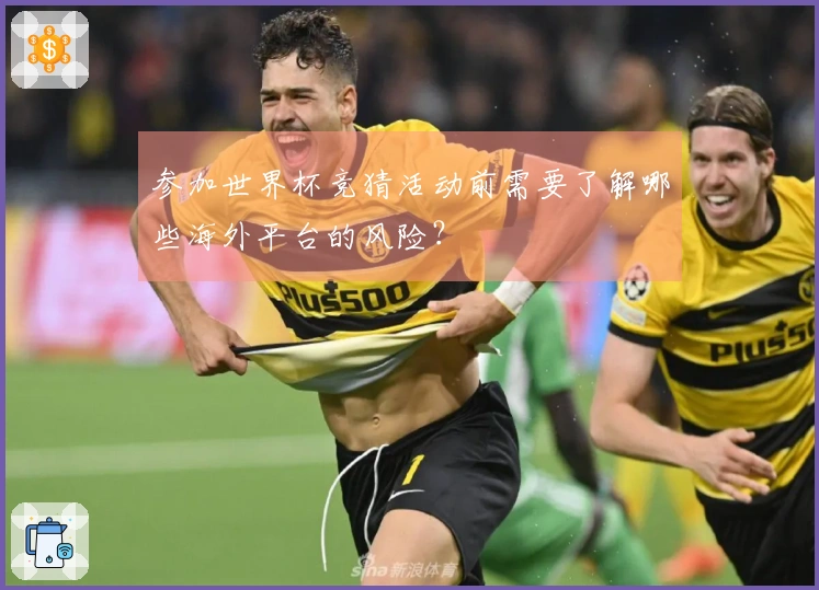 参加世界杯竞猜活动前需要了解哪些海外平台的风险？
