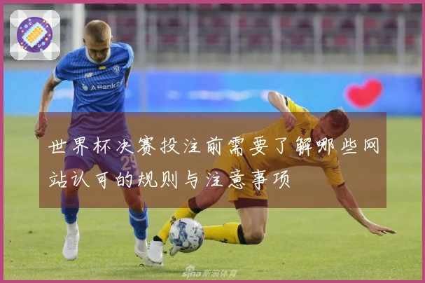世界杯决赛投注前需要了解哪些网站认可的规则与注意事项